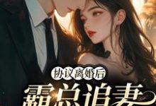 小说《协议离婚后,霸总追妻火葬场》在线章节阅读-红梅文学