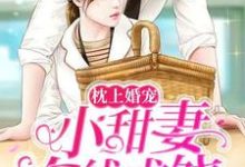 枕上婚宠:小甜妻在线求饶小说完结版章节免费阅读-红梅文学