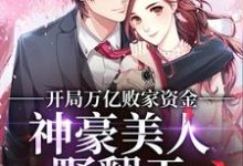 完结版《开局万亿败家资金，神豪美人野翻天》章节阅读-红梅文学