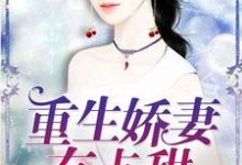 重生娇妻有点甜小说阅读,重生娇妻有点甜完结版-红梅文学