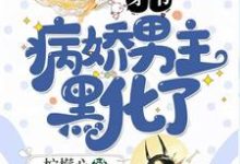 已完结小说《穿书:病娇男主黑化了》最新章节-红梅文学