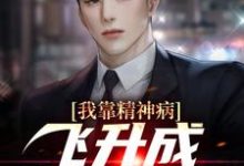 哪里可以免费找到我靠精神病飞升成毒辣杀手？-红梅文学