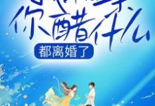求都离婚了,我相亲你醋什么小说的全文免费阅读链接-红梅文学