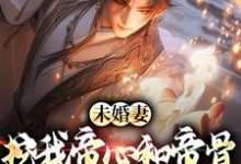 完结版《未婚妻挖我帝心和帝骨,我黑化了》章节阅读-红梅文学