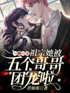 一胎三宝：祖宗她被五个哥哥团宠啦小说，一胎三宝：祖宗她被五个哥哥团宠啦在线阅读