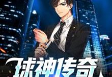 求球神传奇:进球无极限小说的全文免费阅读链接-红梅文学