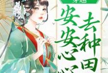 《穿越:安安心心去种田》全集免费在线阅读(宋灵均)-红梅文学