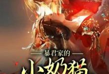 徐知夏聂千城小说暴君家的小奶猫恃宠而骄在线阅读章节-红梅文学