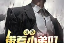 已完结小说《灵界:带着小弟们,我振兴龙国了》章节在线阅读-红梅文学