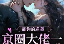 《舔狗的逆袭:京圈大佬一直暗恋我》小说大结局免费试读 霍砚霆慕栀小说-红梅文学