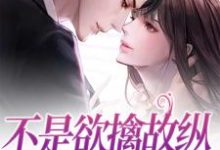 已完结小说《不是欲擒故纵,小姐她真怕你》章节在线阅读-红梅文学