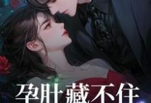 孕肚藏不住,冰山总裁找上门簿北臣景落小说在线章节免费阅读-红梅文学