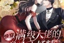 免费看快穿:满级大佬的偏执小妖精小说的网站有哪些?-红梅文学