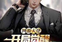 小说《网游大佬:开局觉醒红温系统》在线章节阅读-红梅文学
