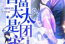 完结版《首富太太是团宠》免费阅读-红梅文学