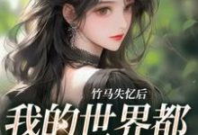 沈瑶芷沈星肆小说竹马失忆后,我的世界都在等他清醒章节免费阅读-红梅文学