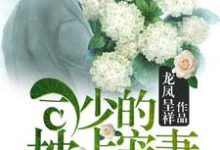 小说《司少的枕上宠妻》章节免费阅读-红梅文学