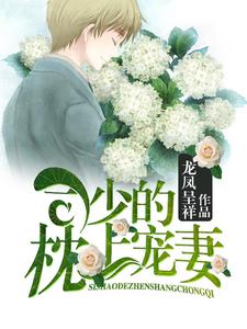 小说《司少的枕上宠妻》章节免费阅读