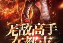 无敌高手在都市林宇阳刘圆圆小说在线章节免费阅读-红梅文学