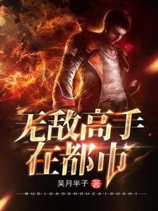 无敌高手在都市林宇阳刘圆圆小说在线章节免费阅读