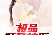 极品妖孽神医小说无弹窗阅读的网站推荐-红梅文学