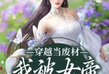 《穿越当废材，我被女帝老婆包养了》小说章节在线试读，《穿越当废材，我被女帝老婆包养了》最新章节目录-红梅文学