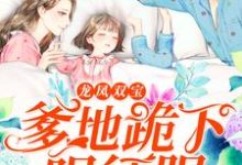龙凤双宝:爹地跪下唱征服小说,龙凤双宝:爹地跪下唱征服免费阅读-红梅文学