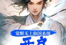 觉醒无上仙国系统,开启逆袭人生小说完结版章节免费阅读-红梅文学