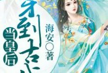 穿到古代当皇后小说的无弹窗阅读体验,寻找免费阅读网站-红梅文学