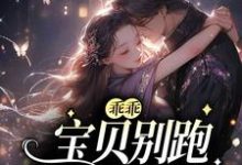 乖乖宝贝别跑,你逃不掉的温雅雅司徒赫,乖乖宝贝别跑,你逃不掉的章节在线阅读-红梅文学