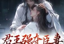 君王强夺臣妻,只为惊鸿一面小说的最新章节在哪里更新?免费追踪阅读-红梅文学