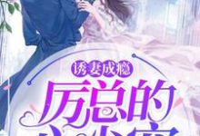 诱妻成瘾：厉总的心尖宠顾晚莞厉霖川，诱妻成瘾：厉总的心尖宠在线无弹窗阅读-红梅文学