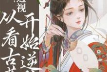 透视：从看古董开始逆袭小说有没有完整的免费版本在线阅读？-红梅文学