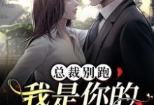 完结版《总裁别跑,我是你的命定女人》免费阅读-红梅文学