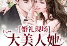 婚礼现场,大美人她喜提绿帽秦悦黎焰小说大结局免费试读-红梅文学