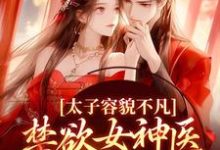 小说《太子容貌不凡,禁欲女神医爱疯了》在线章节阅读-红梅文学