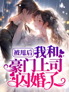 被甩后，我和豪门上司闪婚了章节免费在线阅读， 宁以夏陆司霆完结版