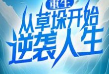 完结版《重生:从草垛开始逆袭人生》免费阅读-红梅文学