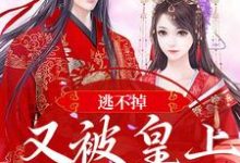 已完结小说《逃不掉!又被皇上锁腰宠了》章节免费阅读-红梅文学