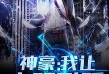 哪里可以免费找到神豪:我让文明飞跃?-红梅文学