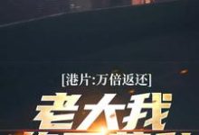 叶霆小说港片：万倍返还，老大我绝不藏私在线阅读章节-红梅文学