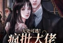 无处可逃!疯批大佬强制爱小说最新章节在哪里可以读到?-红梅文学