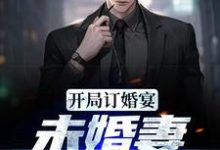开局订婚宴,未婚妻弃我而去免费阅读,开局订婚宴,未婚妻弃我而去章节在线阅读-红梅文学