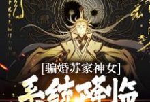 完结版《骗婚苏家神女,系统降临上古神瞳》章节目录在线阅读-红梅文学
