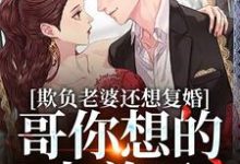 完整版的欺负老婆还想复婚,哥你想的太美了小说在哪里可以免费读到?-红梅文学