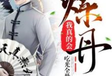 我真的会炼丹小说,我真的会炼丹陈旺荣秋紫霜-红梅文学