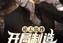 逆天悟性,开局制造可控核聚变小说的无弹窗阅读体验,寻找免费阅读网站-红梅文学