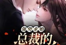 求强势求婚,总裁的幸孕罪妻小说的全文免费阅读链接-红梅文学