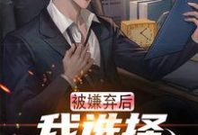 寻找能够免费阅读被嫌弃后,我选择离家跑路小说的平台-红梅文学