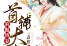 完结版《首辅大人的傲娇妻》章节目录在线阅读-红梅文学